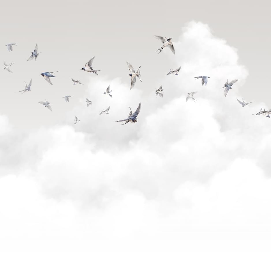 Milassa Ambiplain Volume 3 0011 Spring Swallows 4 полотна 3м x 400см поверхность матовая