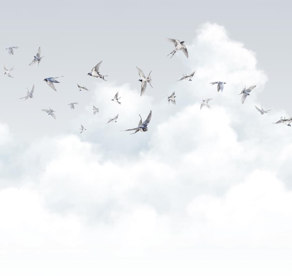 Milassa Ambiplain Volume 3 006 Spring Swallows 4 полотна 3м x 400см поверхность матовая