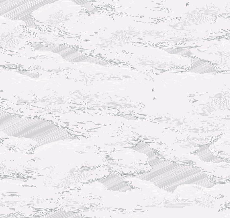 Milassa Ambiplain Volume 3 AM10 001 10.05м x 100см поверхность матовая