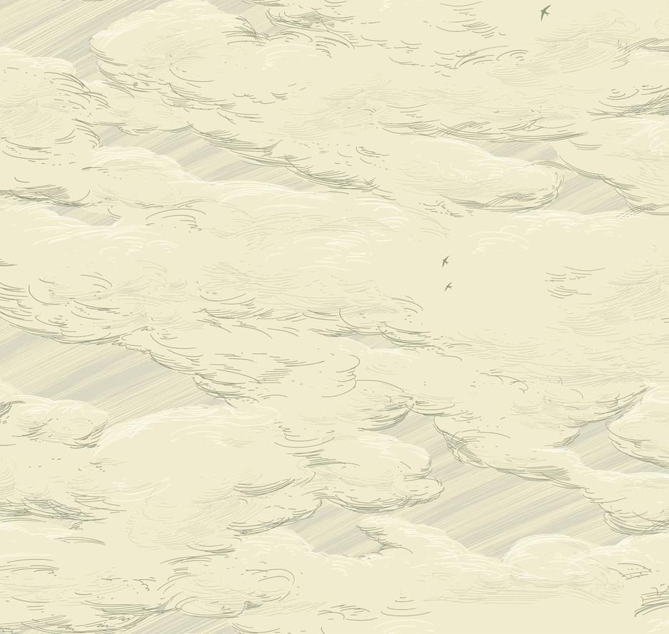 Milassa Ambiplain Volume 3 AM10 005 10.05м x 100см поверхность матовая
