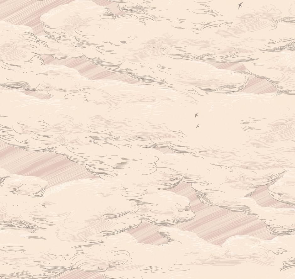 Milassa Ambiplain Volume 3 AM10 007 10.05м x 100см поверхность матовая