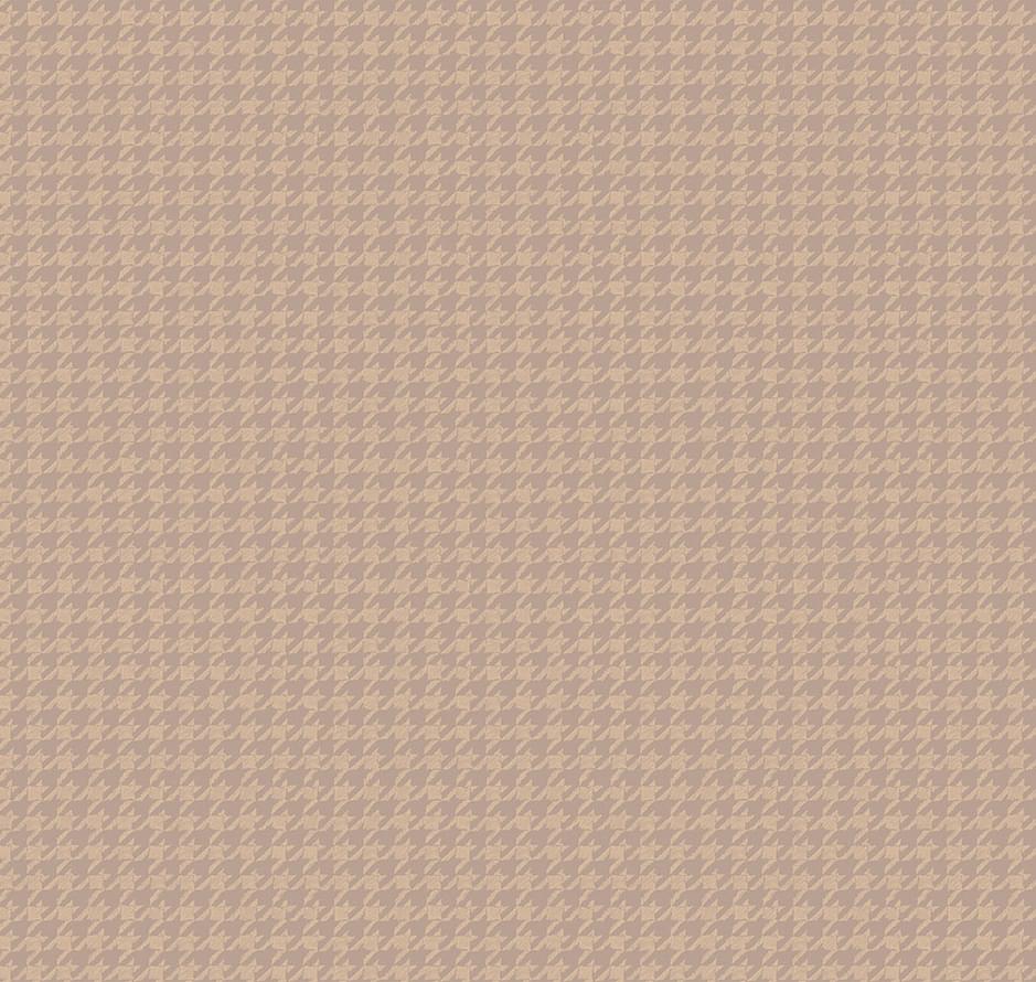 Milassa Amsterdam DM5 012 10x100