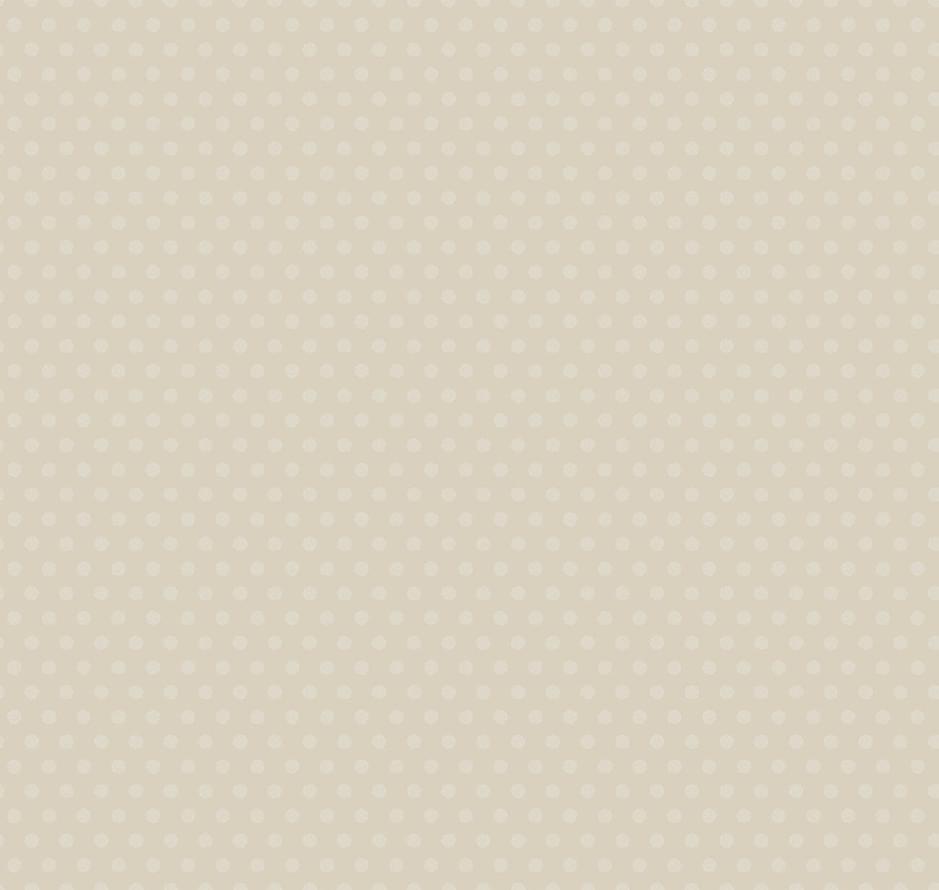 Milassa Amsterdam DM6 004 10x100