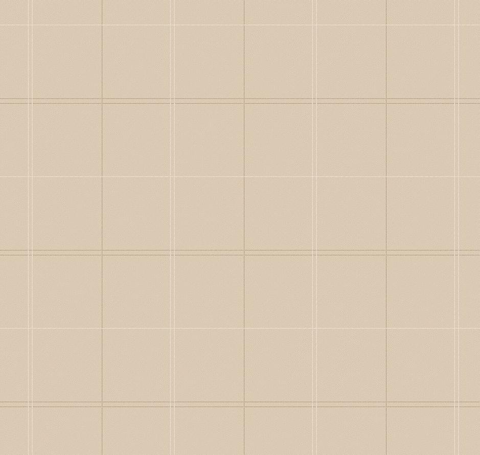 Milassa Amsterdam DM7 002 10x100