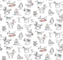 Milassa Bon Voyage D6 001 Dandy 10x100 см поверхность матовая