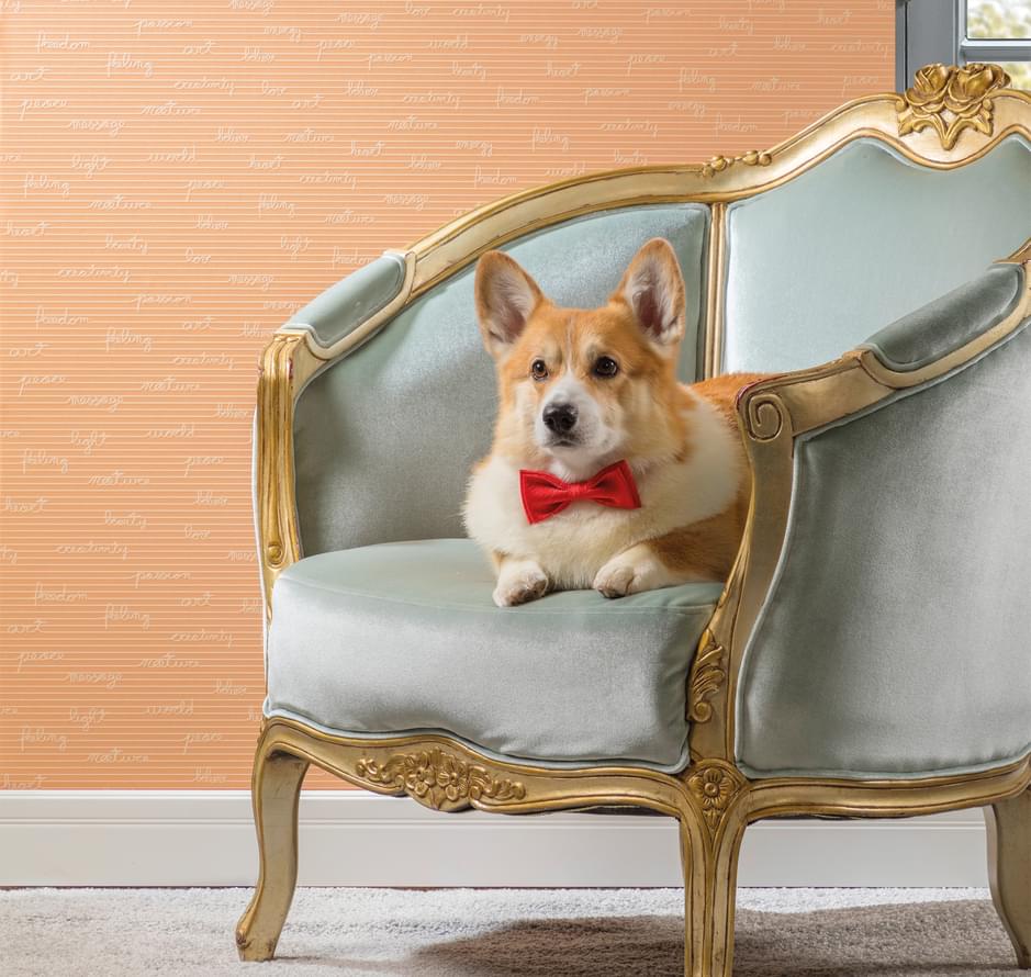 обои фабрики Milassa коллекция Bon Voyage