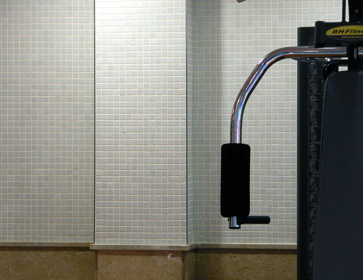 металл фабрики Mosavit коллекция Monocolor