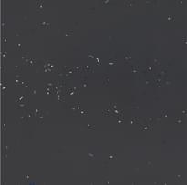 Плитка Mutina Primavera Nero 120x120 см, поверхность матовая
