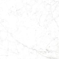 Плитка NT Ceramic Carrara Bianco CR6NTT9901M 60x60 см, поверхность матовая