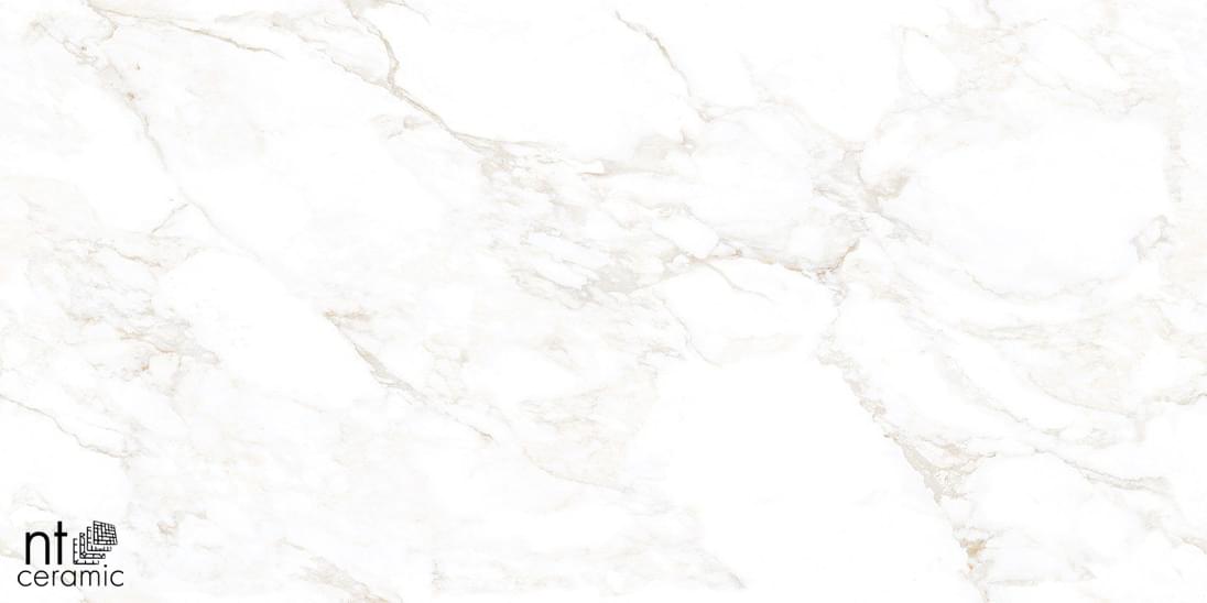 NT Ceramic Marmo Marble Extra Endless 60x120