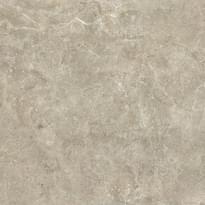 Плитка NT Ceramic Quanta Grey NS6NTT9021L 60x60 см, поверхность полуполированная