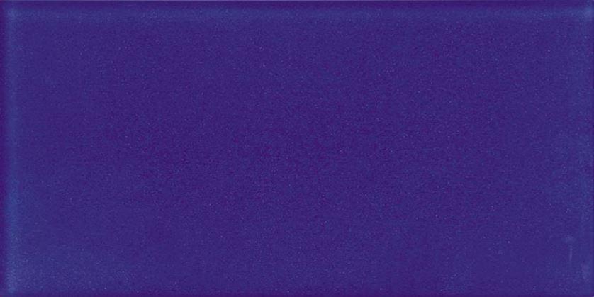 Natural Exclusive Color Palette Cobalt Blue Matte 7.6x15.2