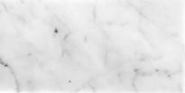 Плитка Natural Exclusive Field Tile And Moldings Carrara Polished 30.5x61 см, поверхность полированная