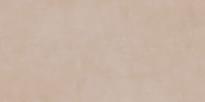 Naxos Mind Hazelnut 60x120 см поверхность матовая