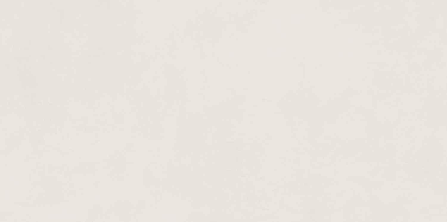 Naxos Mind Moonlit 60x120 см поверхность матовая