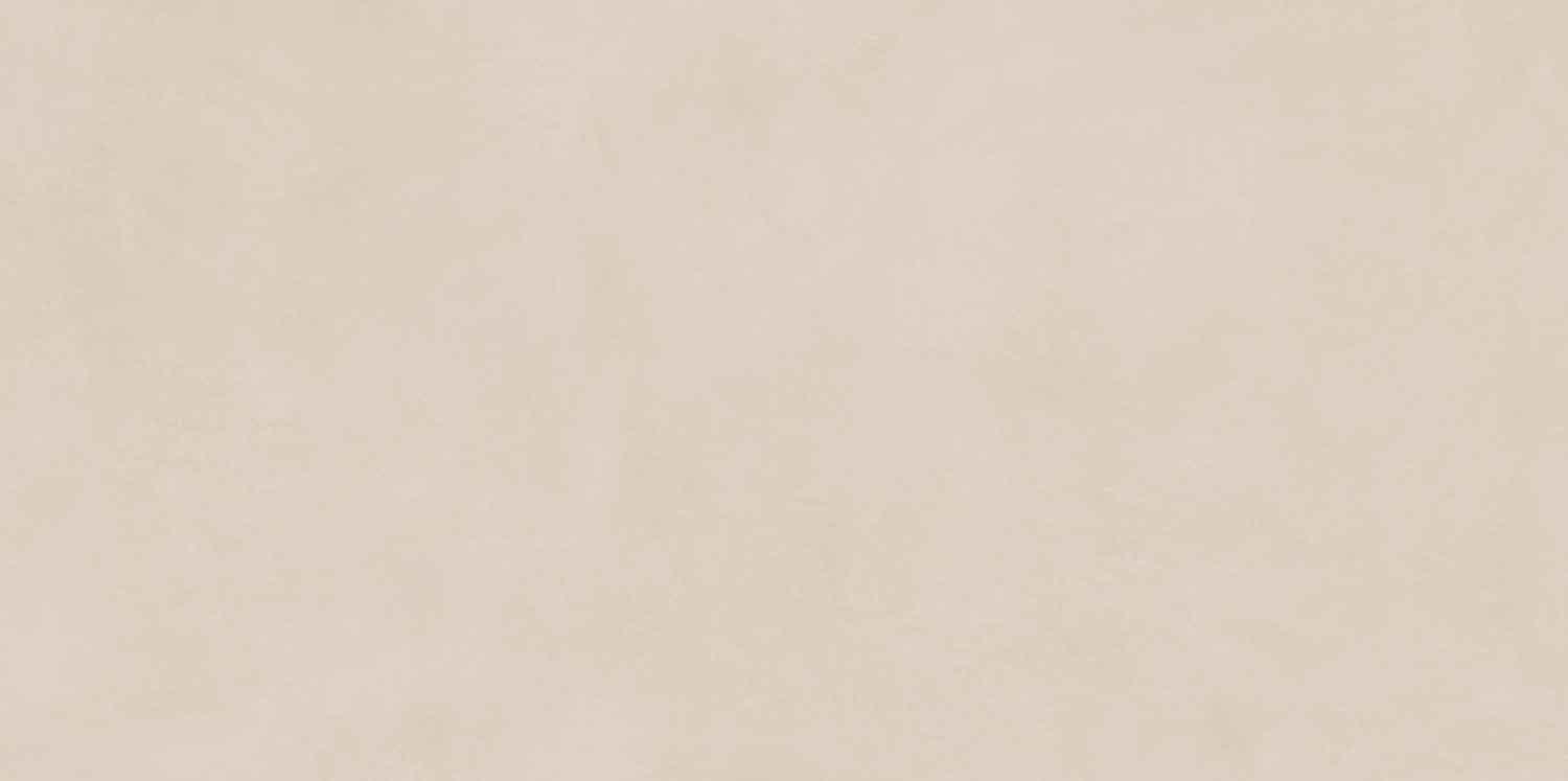 Naxos Mind Plaster 60x120 см поверхность матовая