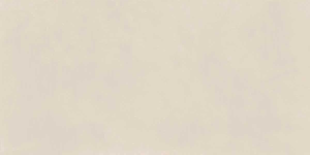 Плитка Naxos Pigmenta Classiqua 60x120 см, поверхность матовая