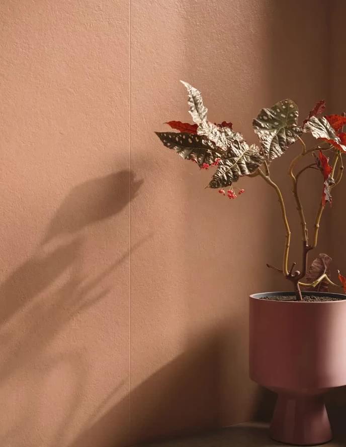 керамогранит фабрики Naxos коллекция Pigmenta