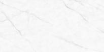 Плитка Neodom Classic Marble Calacatta Fantasy Polished 60x120 см, поверхность полированная