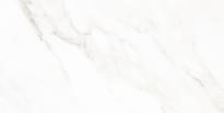 Плитка Neodom Classic Marble Calacatta Michael Carving 60x120 см, поверхность микс