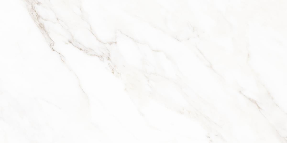Neodom Classic Marble Calacatta Michael Carving 60x120 Neodom Classic Marble Calacatta Michael Carving 60x120