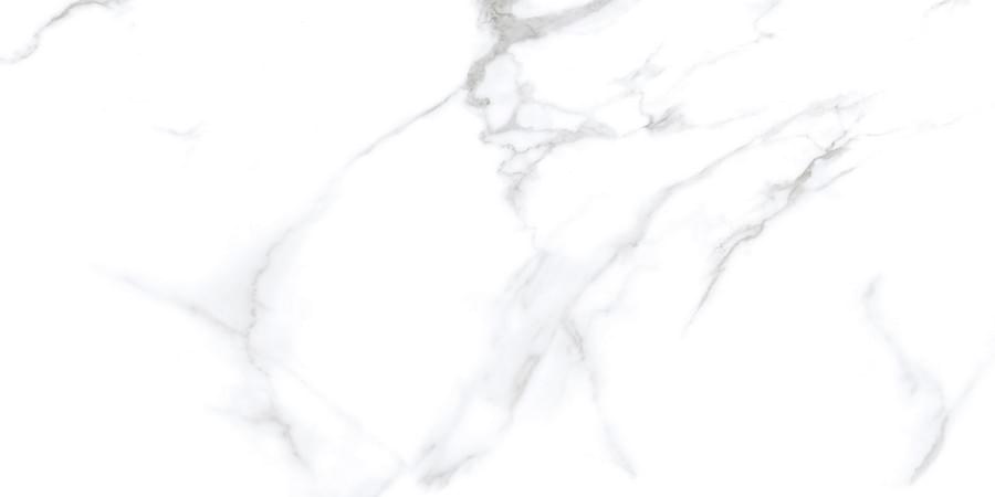 Neodom Classic Marble Statuario Chic Matt 60x120 Neodom Classic Marble Statuario Chic Matt 60x120