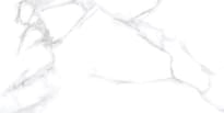 Плитка Neodom Classic Marble Statuario Chic Polished 60x120 см, поверхность полированная