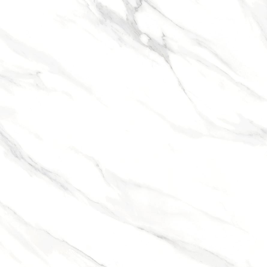 Neodom Classic Marble Statuario Royal Matt 120x120 Neodom Classic Marble Statuario Royal Matt 120x120