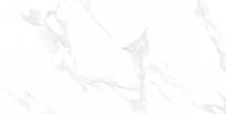 Плитка Neodom Classic Marble Venus Bianco Polished Распродажа 60x120 см, поверхность полированная