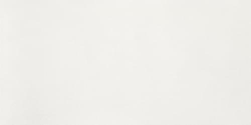 Плитка Neodom Concept Aston White Matt 60x120 см, поверхность матовая