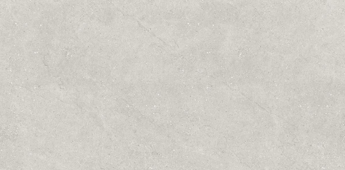 Плитка Neodom Concept Liberty Grey Matt 60x120 см, поверхность матовая