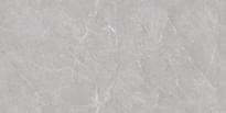 Плитка Neodom London Firenze Grey Tm 60x120 см, поверхность матовая