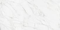 Плитка Neodom Luxury Carrara Giaola Polished 60x120 см, поверхность полированная