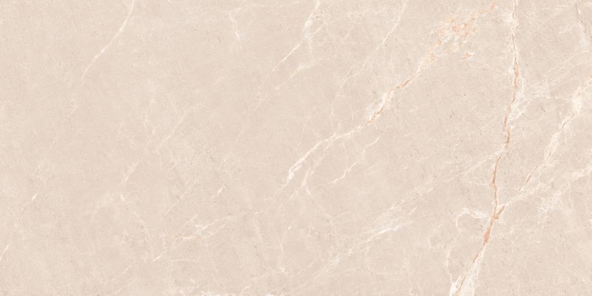 Neodom Marble Persian Beige Matt 60x120