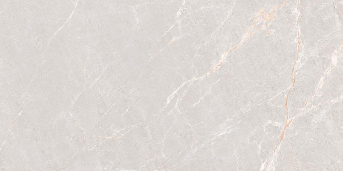 Neodom Marble Persian Grey Matt 60x120