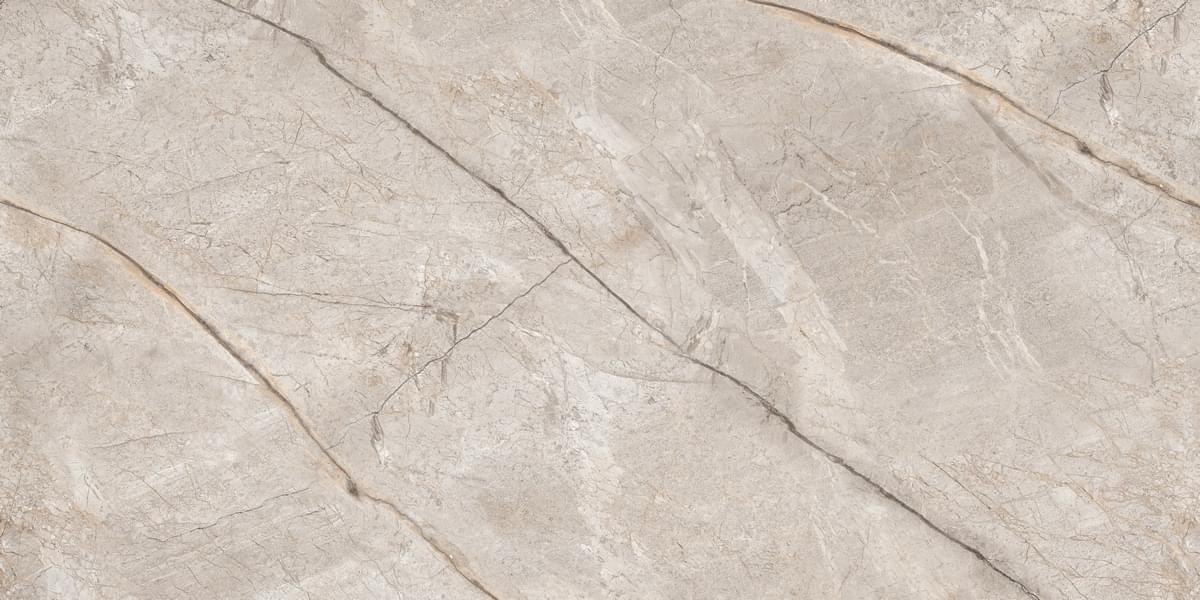 Neodom Marble Silver Stone Carving 60x120
