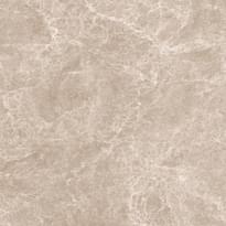 Плитка Neodom Marblestone Emperador Taupe Polished 120x120 см, поверхность полированная