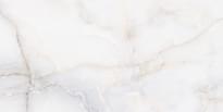 Плитка Neodom Onyx Onix White 60x120 см, поверхность полированная