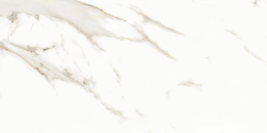 Neodom Splendida Marmol Carrara Polished 60x120