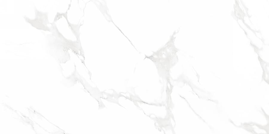 Neodom Supreme Venus Bianco Polished 60x120