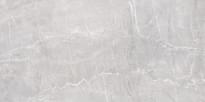 Плитка New Trend Polished Terra Gray 60x120 см, поверхность полированная