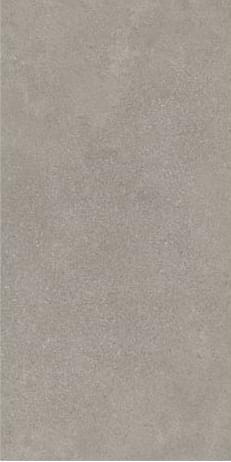 Плитка Nexion Endless Grigio Naturale 30x60 см, поверхность матовая