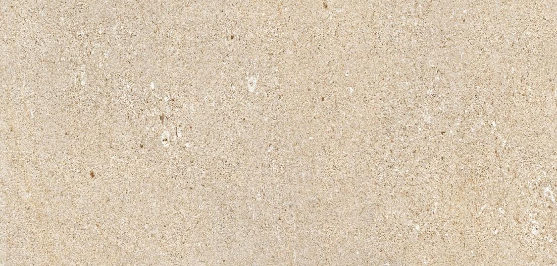 Плитка Nexion Lithic Vicenza Beige 30x60 см, поверхность матовая