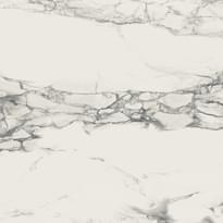 Плитка Novabell Imperial Michelangelo Bianco Arabescato Levigato 60x60 см, поверхность полированная