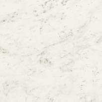 Плитка Novabell Imperial Michelangelo Bianco Carrara Levigato 60x60 см, поверхность полированная