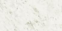 Плитка Novabell Imperial Michelangelo Bianco Carrara Naturale Rett 30x60 см, поверхность матовая