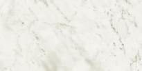 Плитка Novabell Imperial Michelangelo Bianco Carrara Satin 30x60 см, поверхность полуматовая