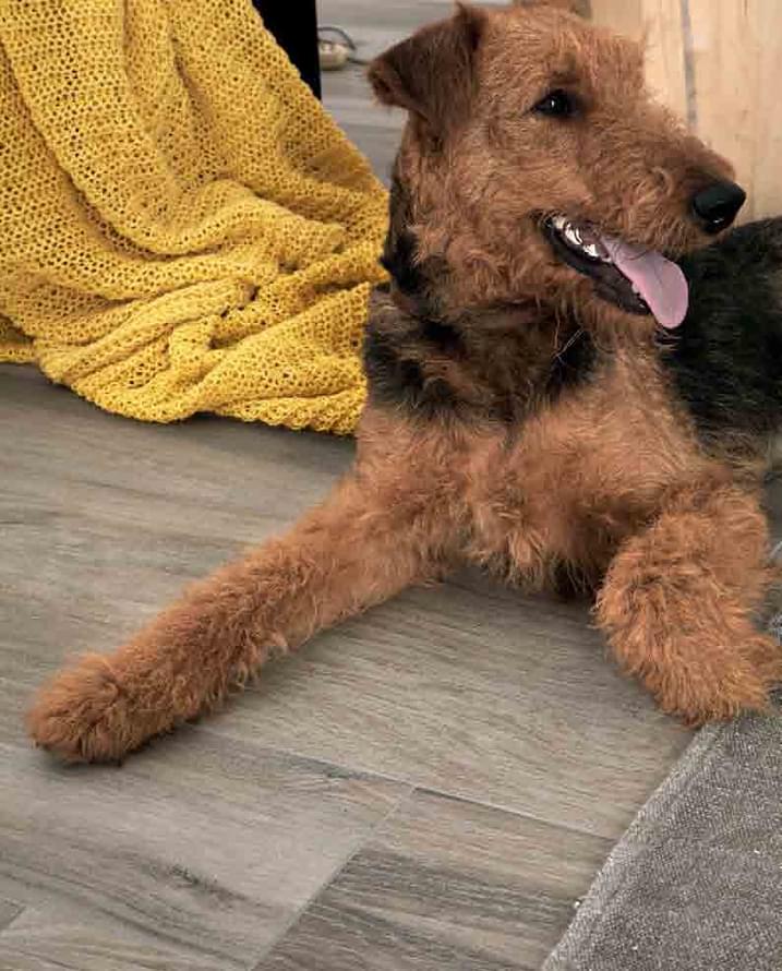 керамогранит фабрики Novabell коллекция My Space