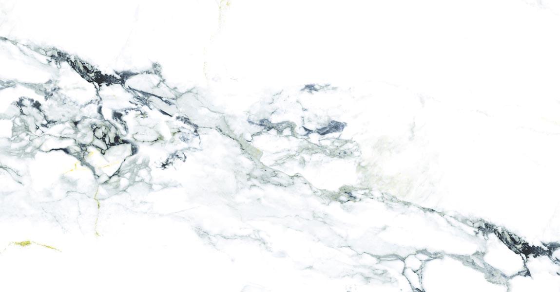 Ocean Ceramic Porcelain Element Calacutta 60x120