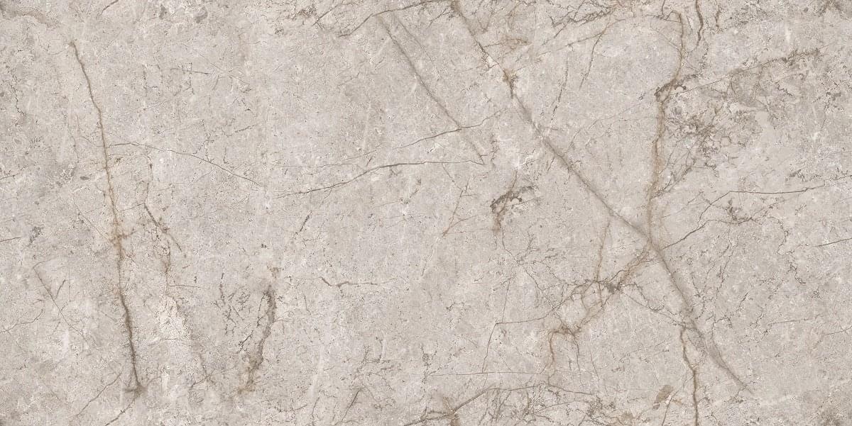 Ocean Ceramic Porcelain Infinity Nalon Grey 60x120